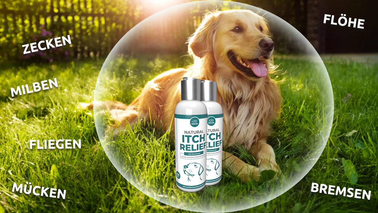 Natural Itch Relief, Mittel gegen Parasiten bei Hunden